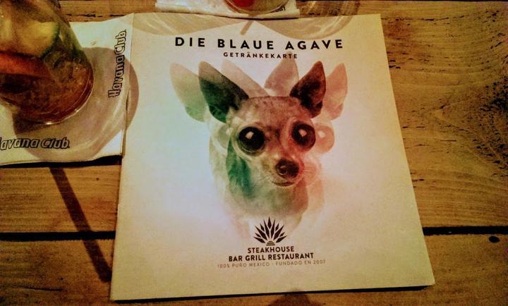 Die Blaue Agave